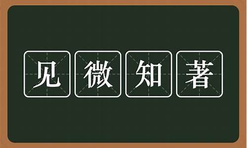 见微知著造句子意思简短二年级_见微知著造句子意思简短二年级下册